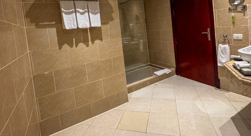 Standard Room pool view